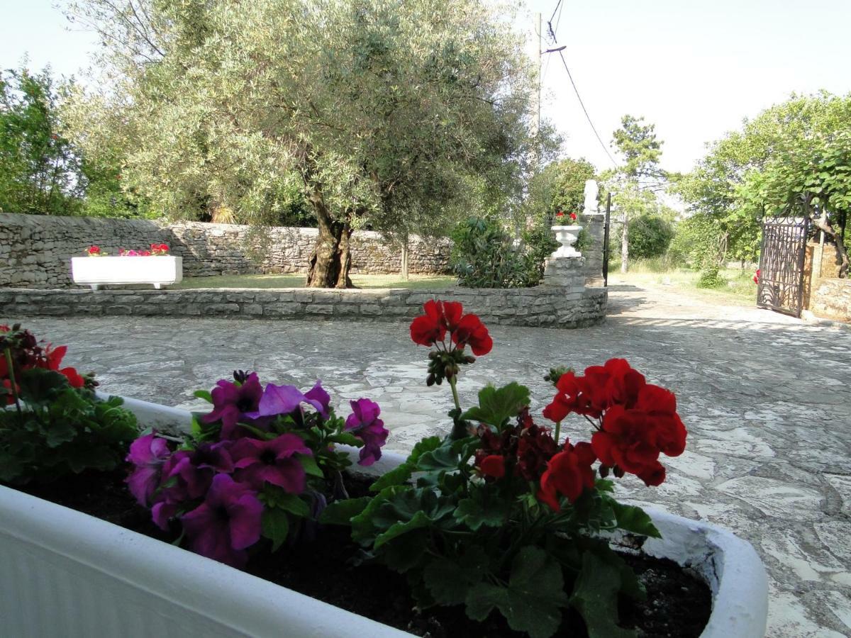 Maran Appartement *
